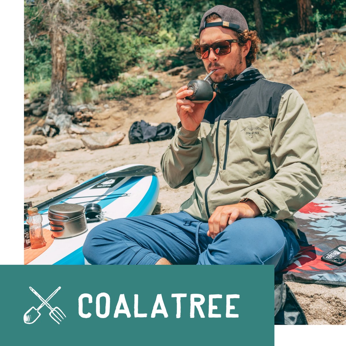 Coalatree