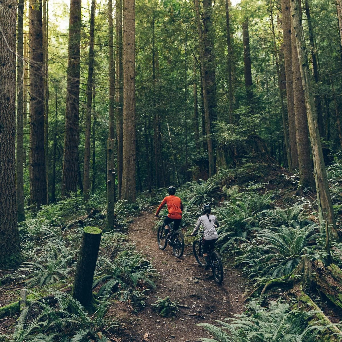 Two riders riding on dirt trail in the forest.