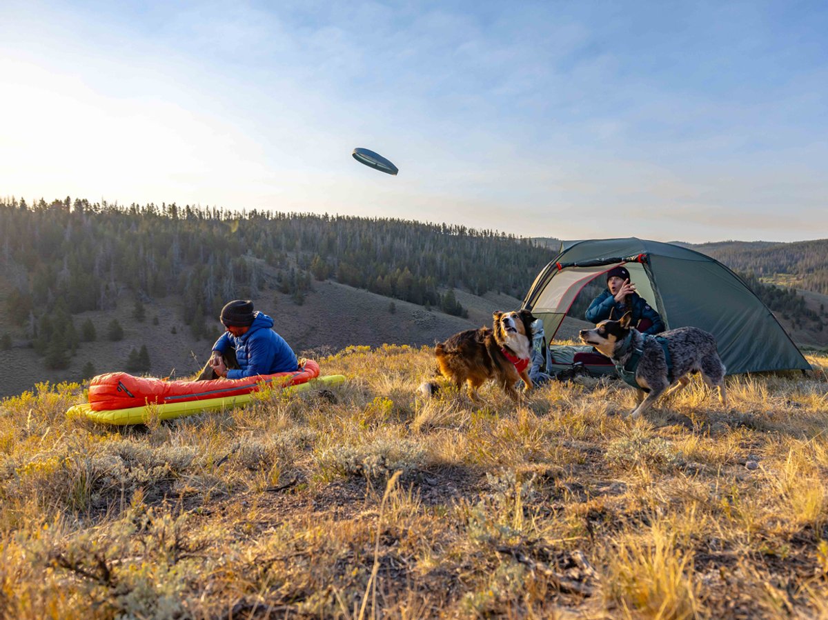 A man and a woman camp in the backcountry, throwing a frisbee to their dog.