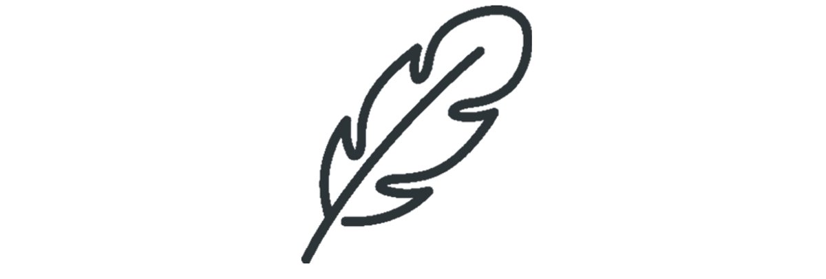 An illustrated feather