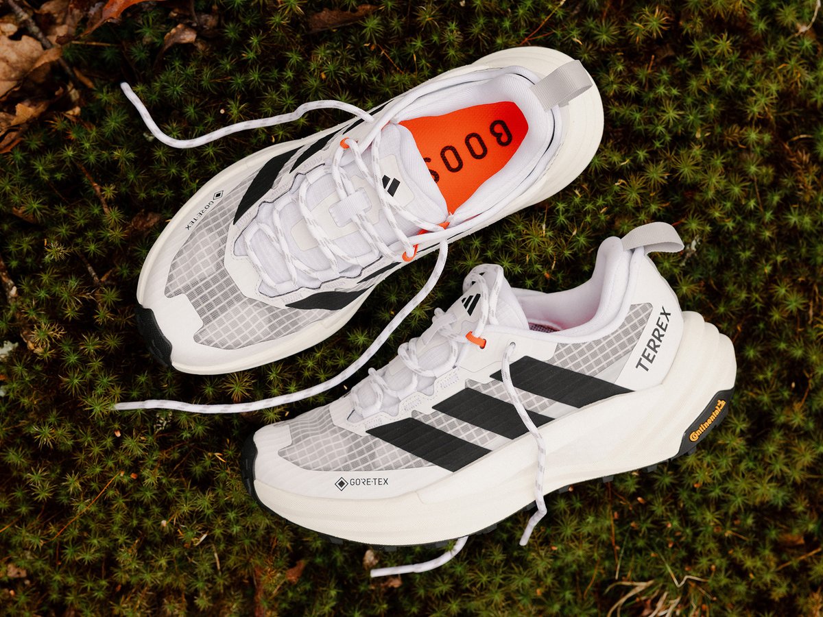 A pair of hiking shoes on a rock