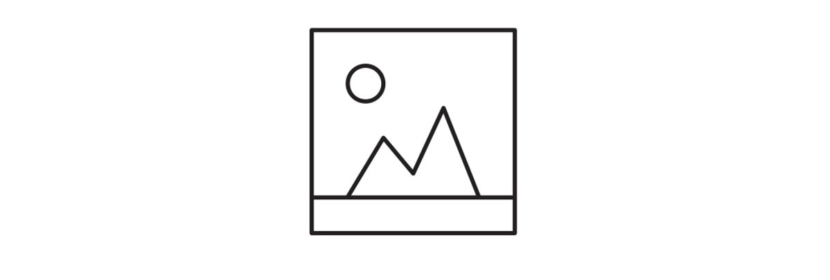 A line art icon of a photographed landscape with mountains and a sun