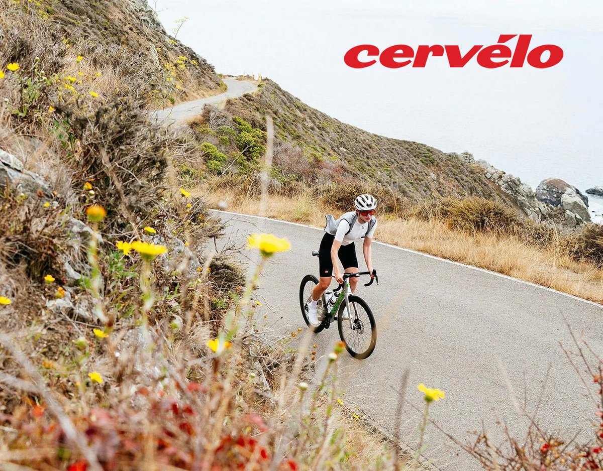Cyclist riding down curving mountain road surrounded by flowers.