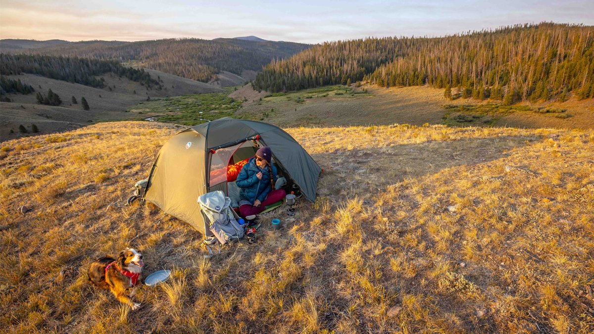 A person peeks out of their Big Agnes Copper Spur tent, backpacking in the backcountry with a dog. 