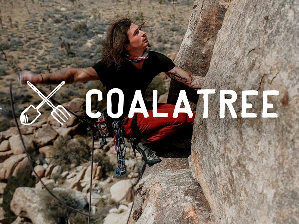 Coalatree
