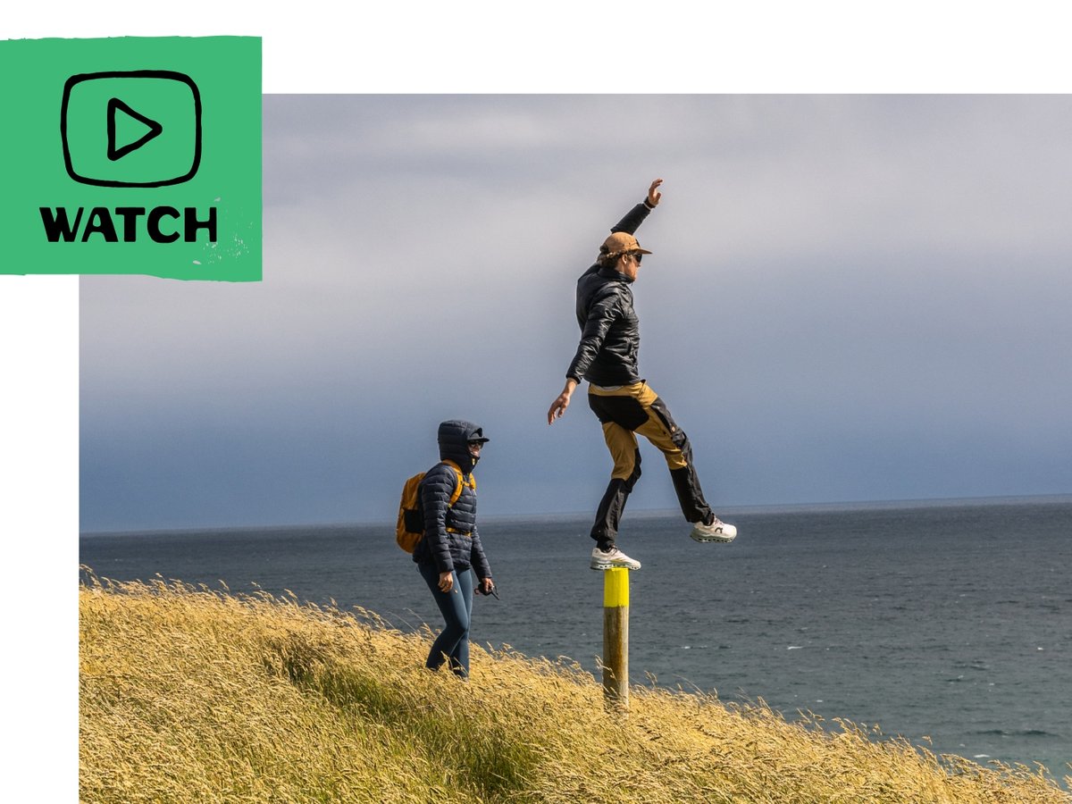 Hikers overlooking the sea in New Zealand.  