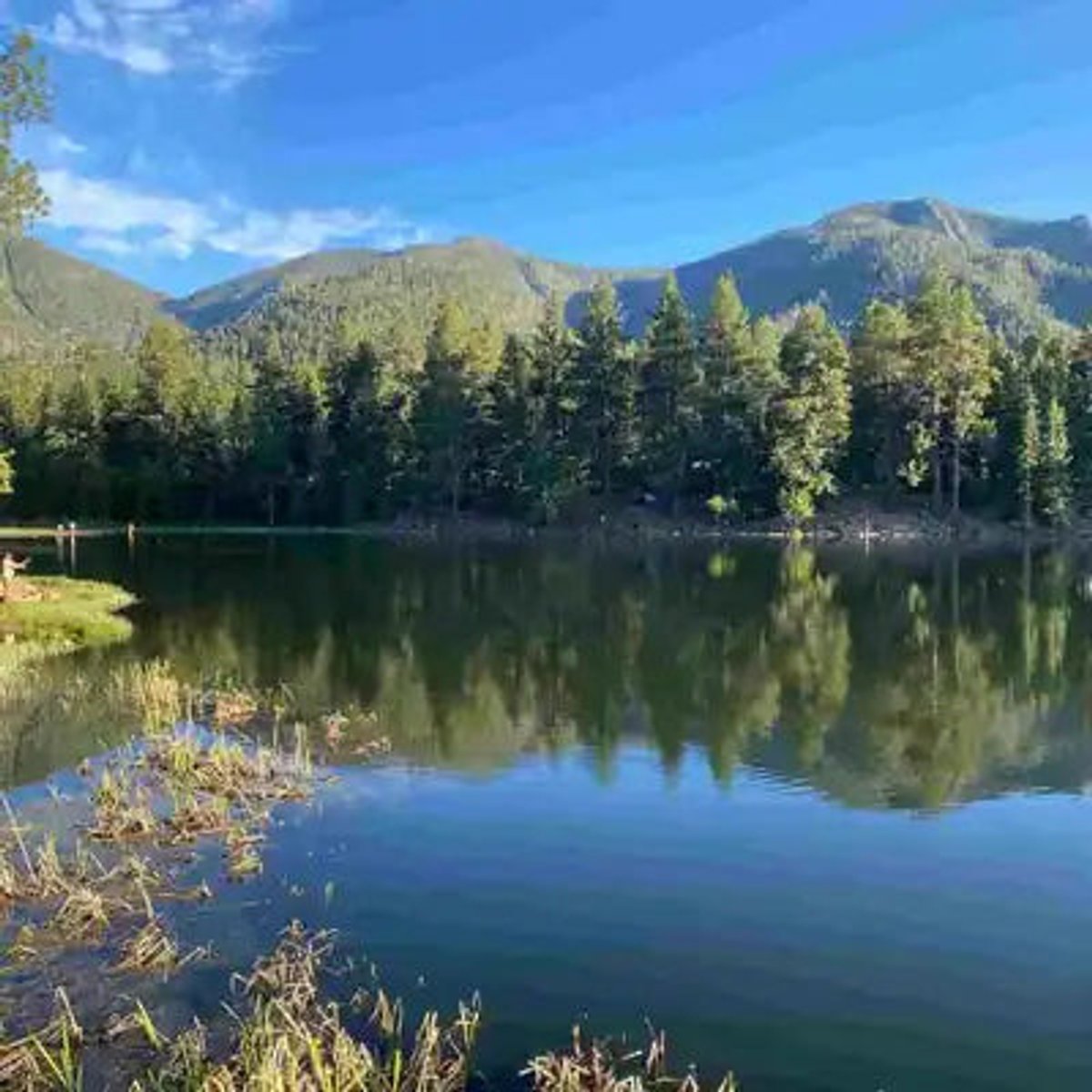 A calm mountain lake reflecting pine trees and peaks under a blue sky in the Dixie National Forest.