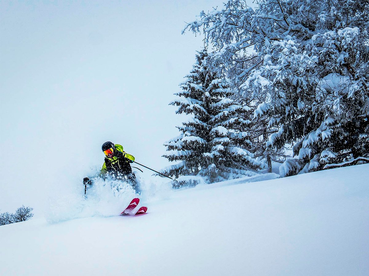 Backcountry skier descending steep powder slope through snow-covered evergreen trees