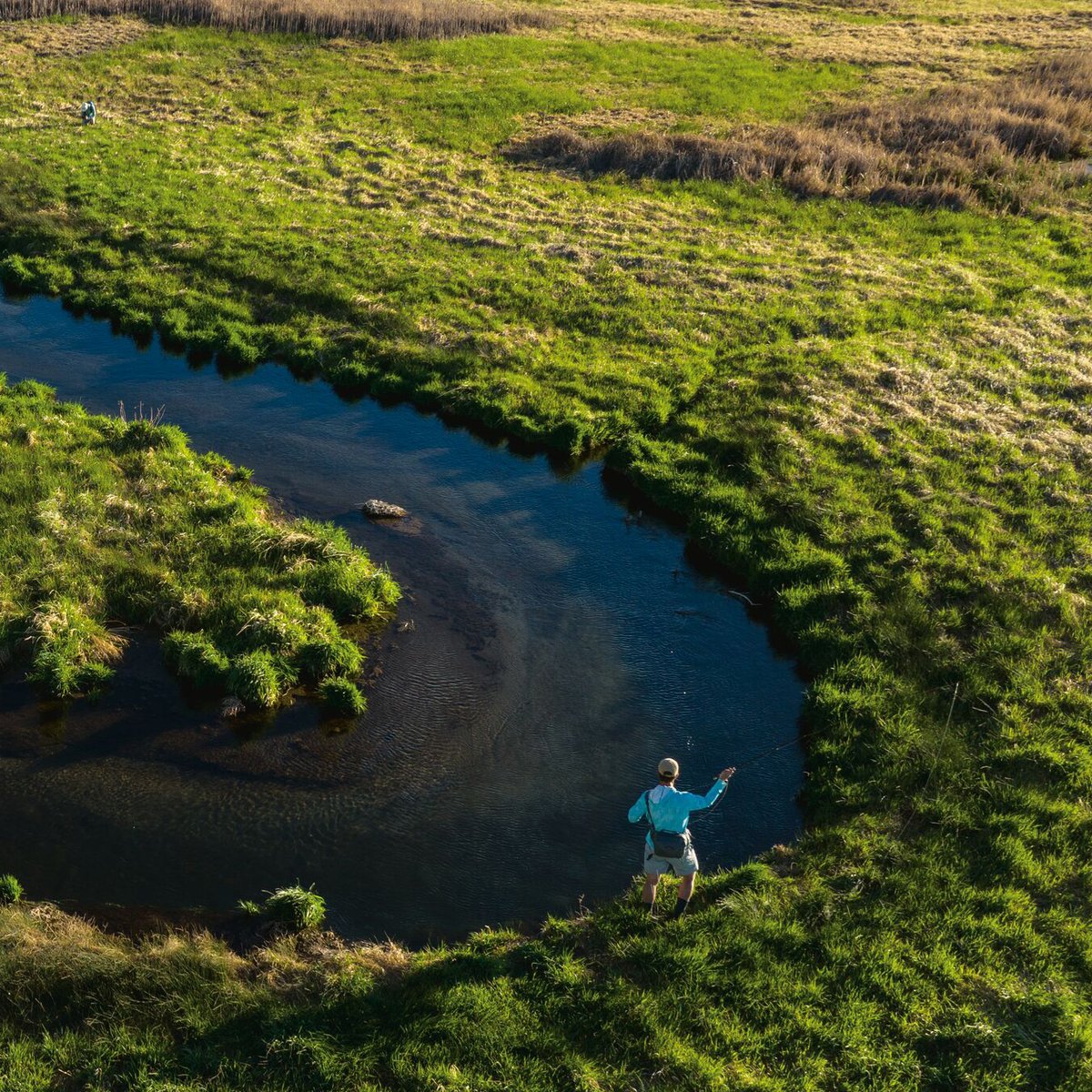 An angler in a blue jacket fly fishing in a pristine river winding through lush green moorland and natural landscape.