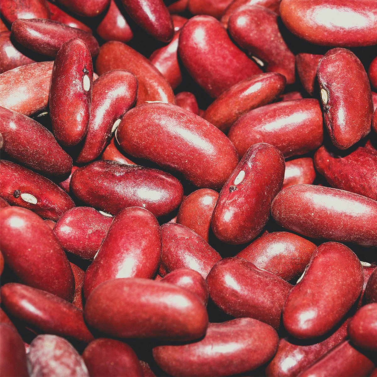Closeup of kidney beans