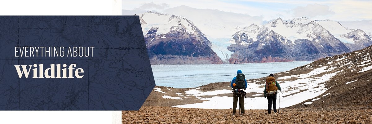 Two people standing at the ends of a snowy field. An icy lake and mountains appear in front of them. The words, “everything about wildlife” appear in a box to their left.