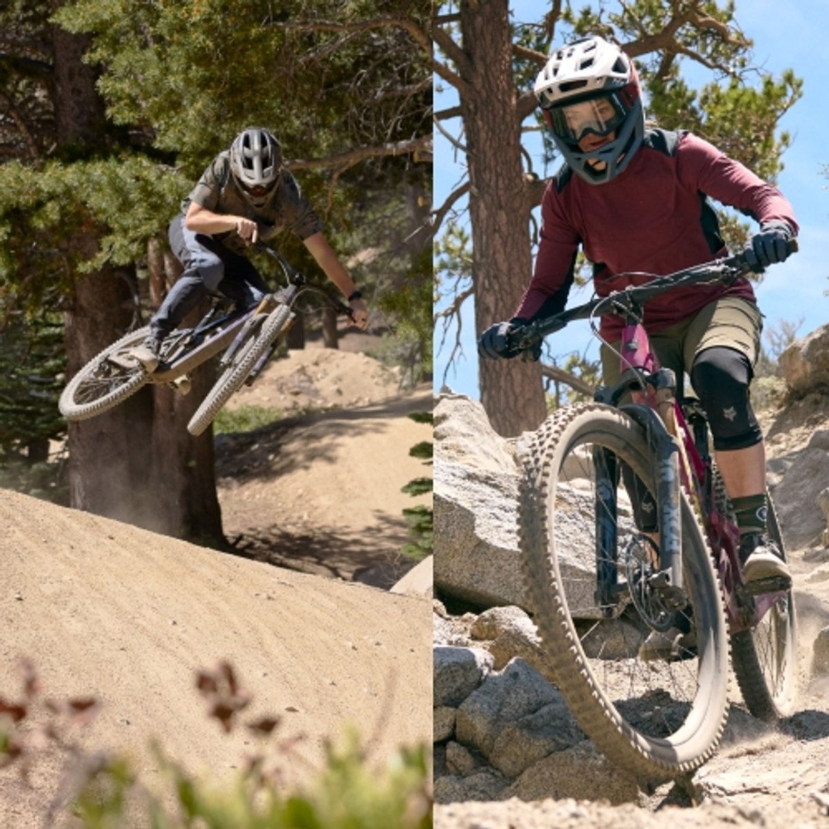 Gearhead's® Guide To Mountain Biking Reno