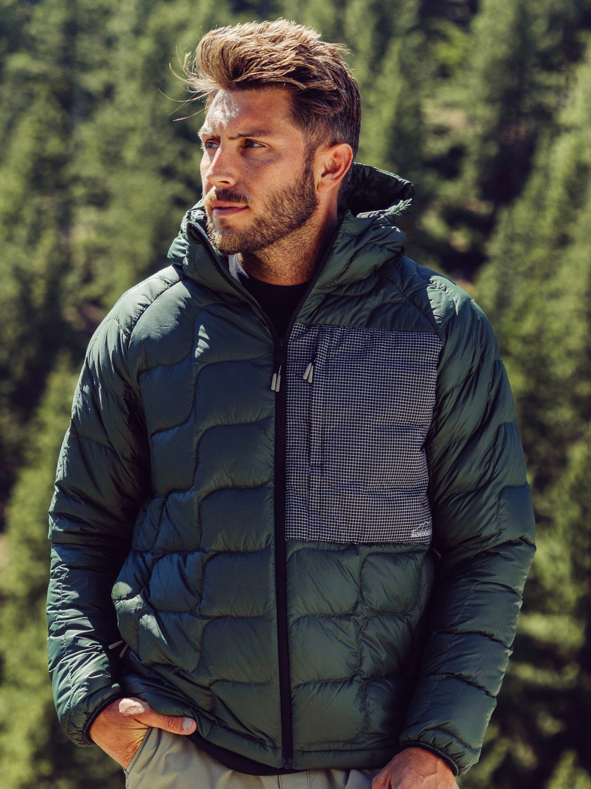 A bearded man in a dark green puffer jacket gazes at an expanse of pine trees.