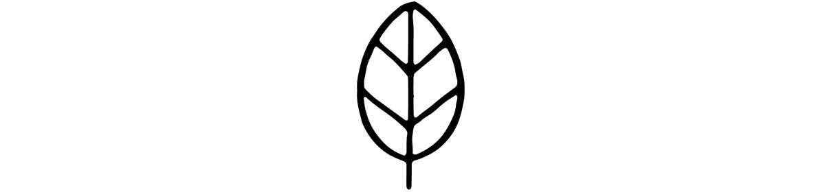 Simple black leaf icon with central vein and symmetrical segments representing nature, growth, and eco-friendly outdoor gear branding.