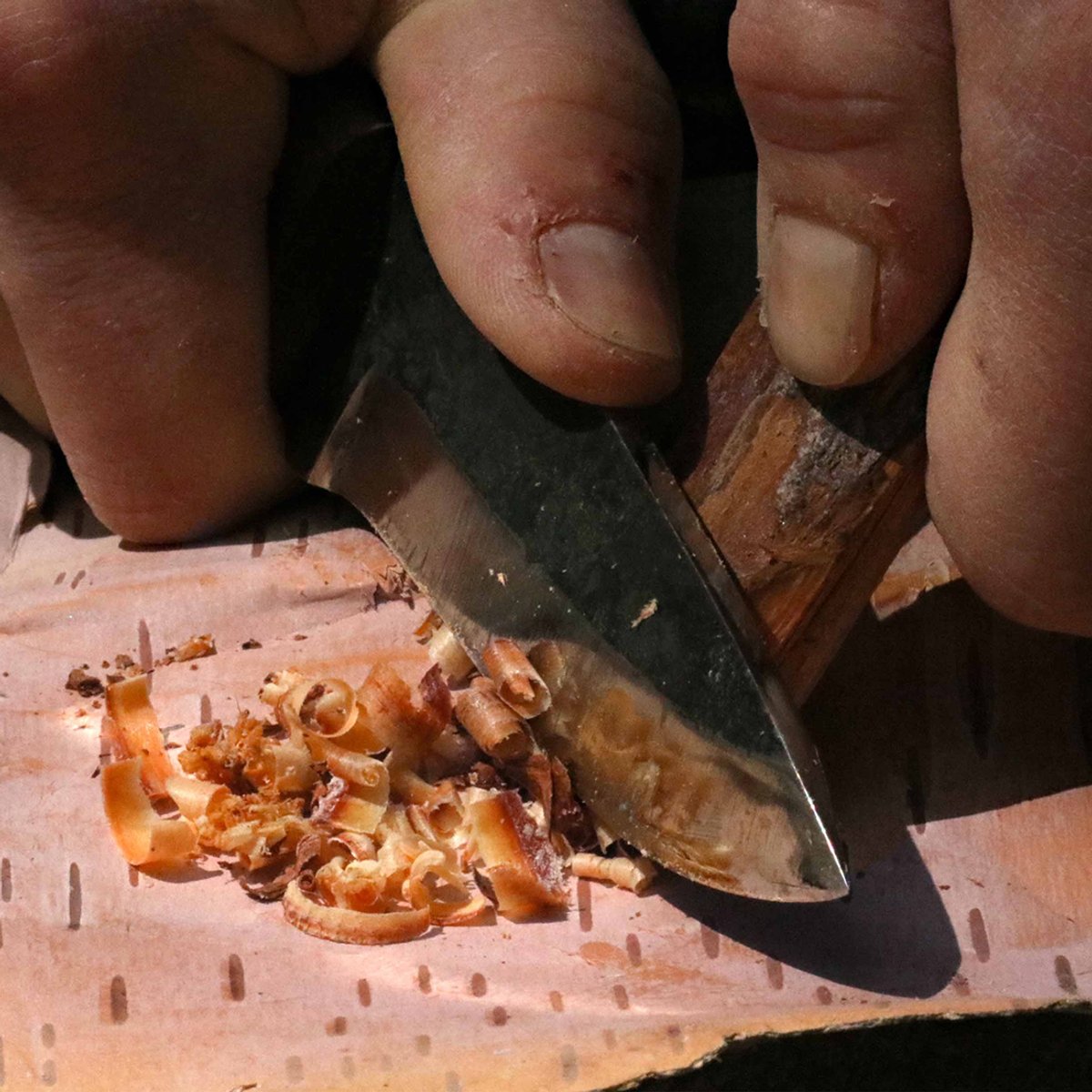Person using the Coalatree Haswell Knife to create wood shavings for fire starting.