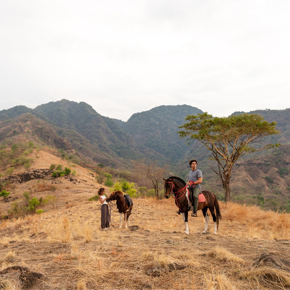 A man and a woman stand on a grassy mountain ridge with their horses. Both people wear prAna Stretch Zion pants.