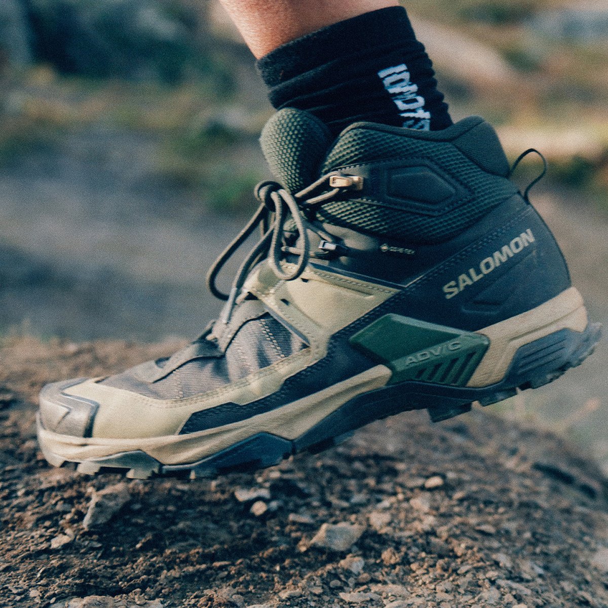 Salomon