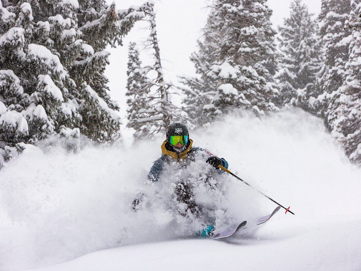 Skier in deep powder among snow-covered trees