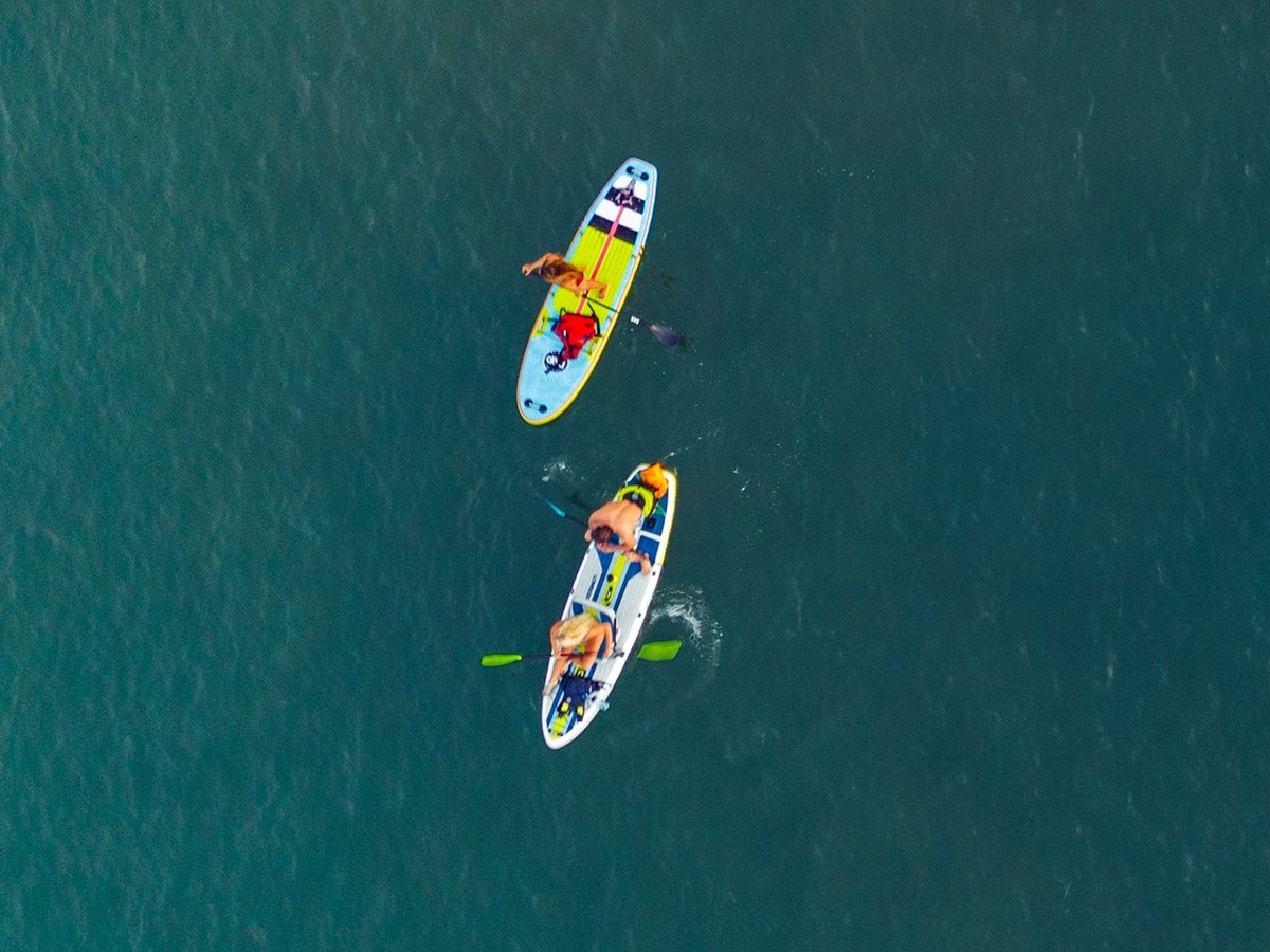 Paddle