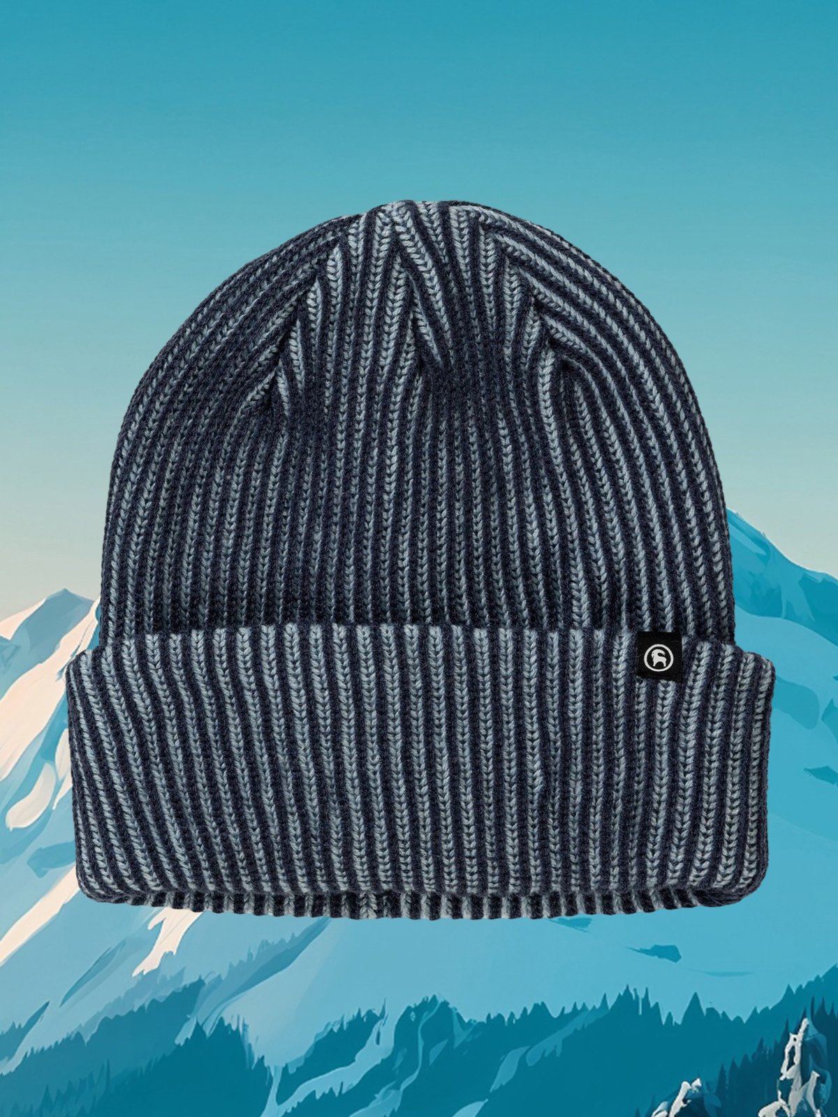 A two tone knit Backcountry Beanie.