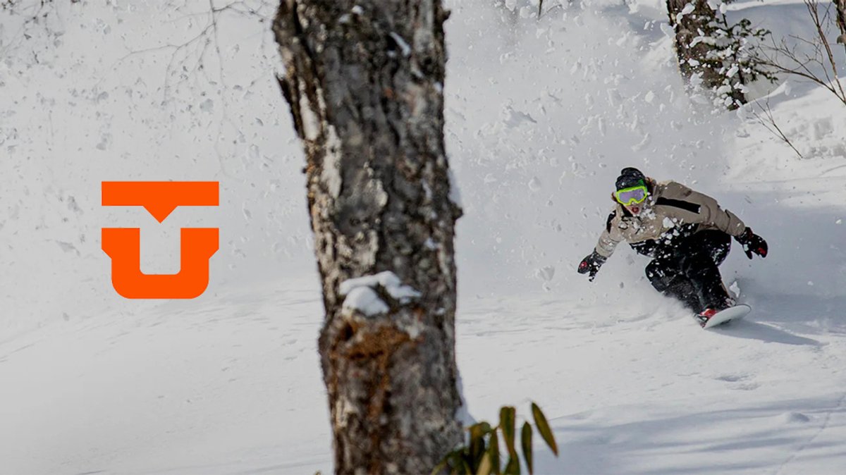 A snowboarder in winter gear carves through fresh powder down a snowy mountain slope lined with birch trees.