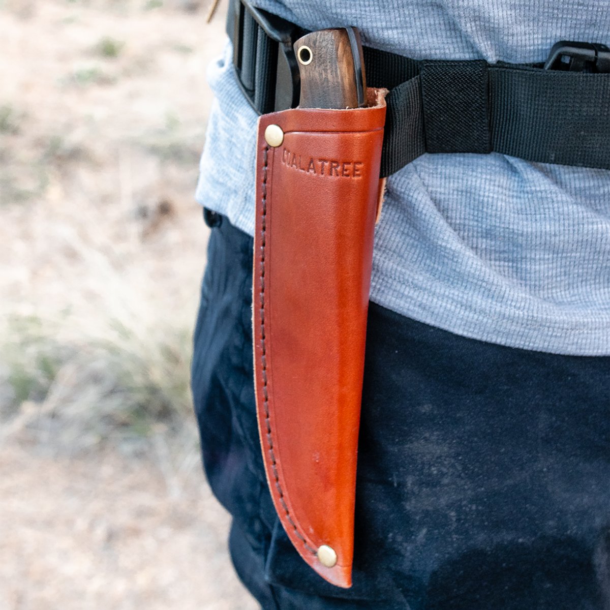 Coalatree Haswell Knife in leather sheath attached to webbing belt being worn by a person.