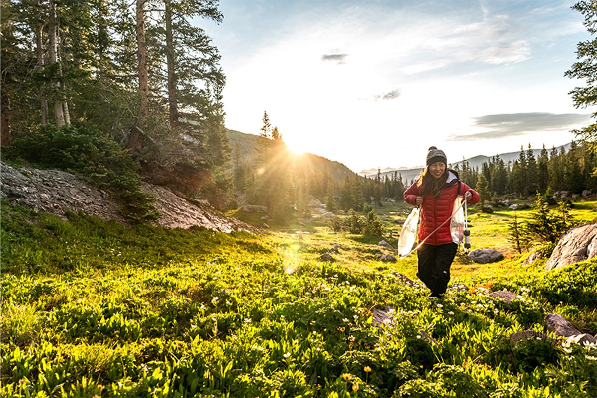Hiker walks through a sunlit alpine meadow carrying a gravity water filter bag among trees and mountains.