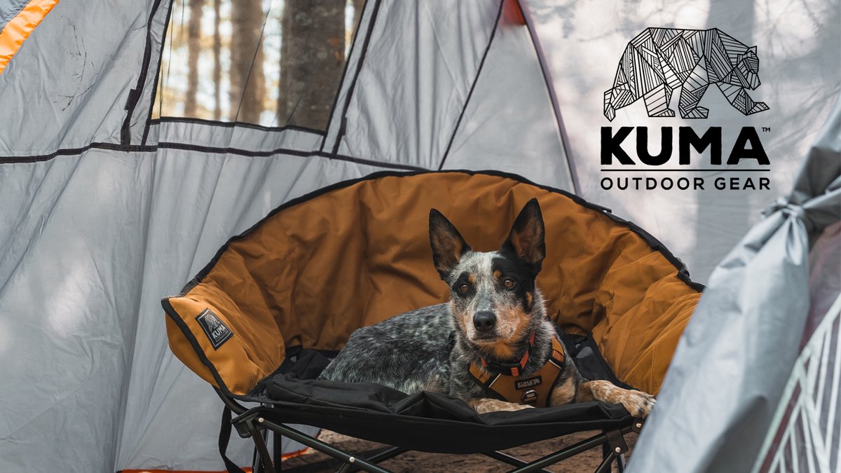 Australian Cattle Dog relaxing in a KUMA Outdoor Gear orange and black camping chair inside a tent during an outdoor adventure.