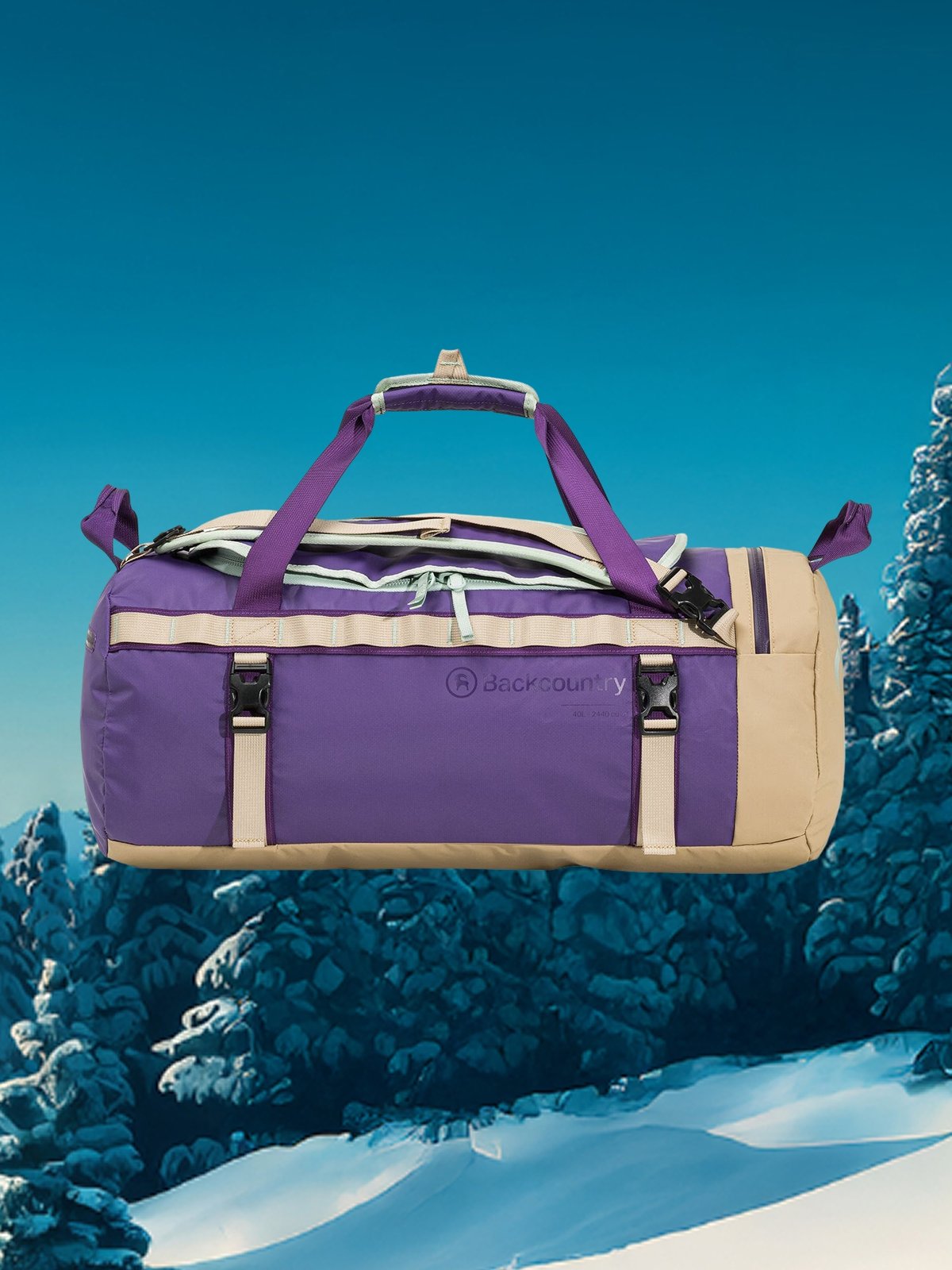 A purple duffle bag by Backcountry.
