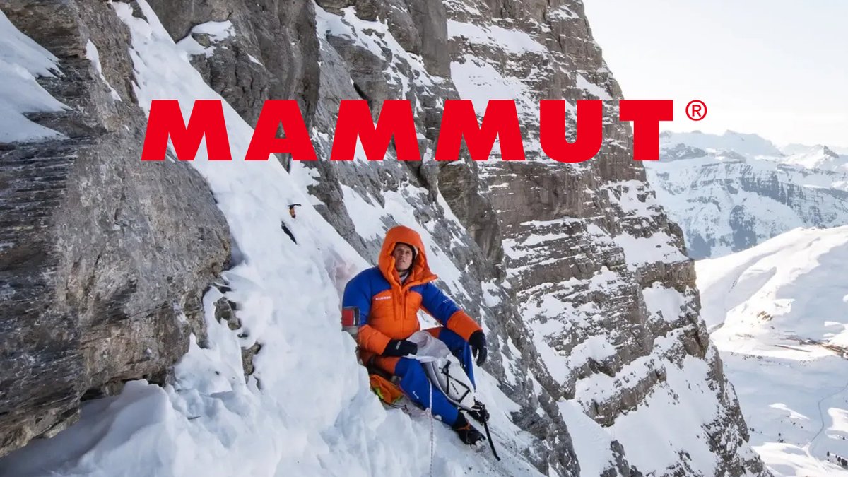 Mammut Barryvox Beacon - Ski