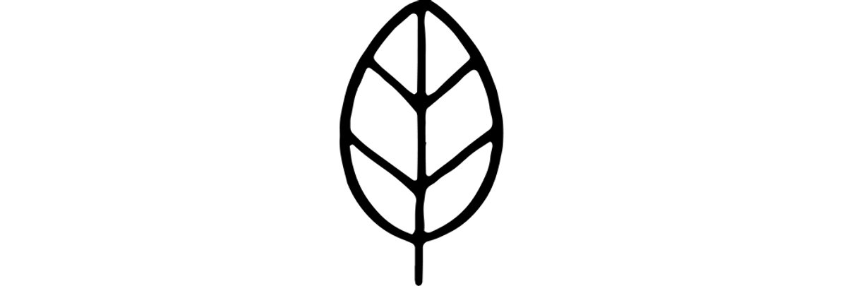 Simple black leaf icon with central vein and symmetrical segments representing nature, growth, and eco-friendly outdoor gear branding.