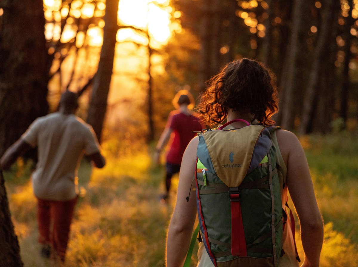 People walking down a brightly lit forest trail during golden hour. 