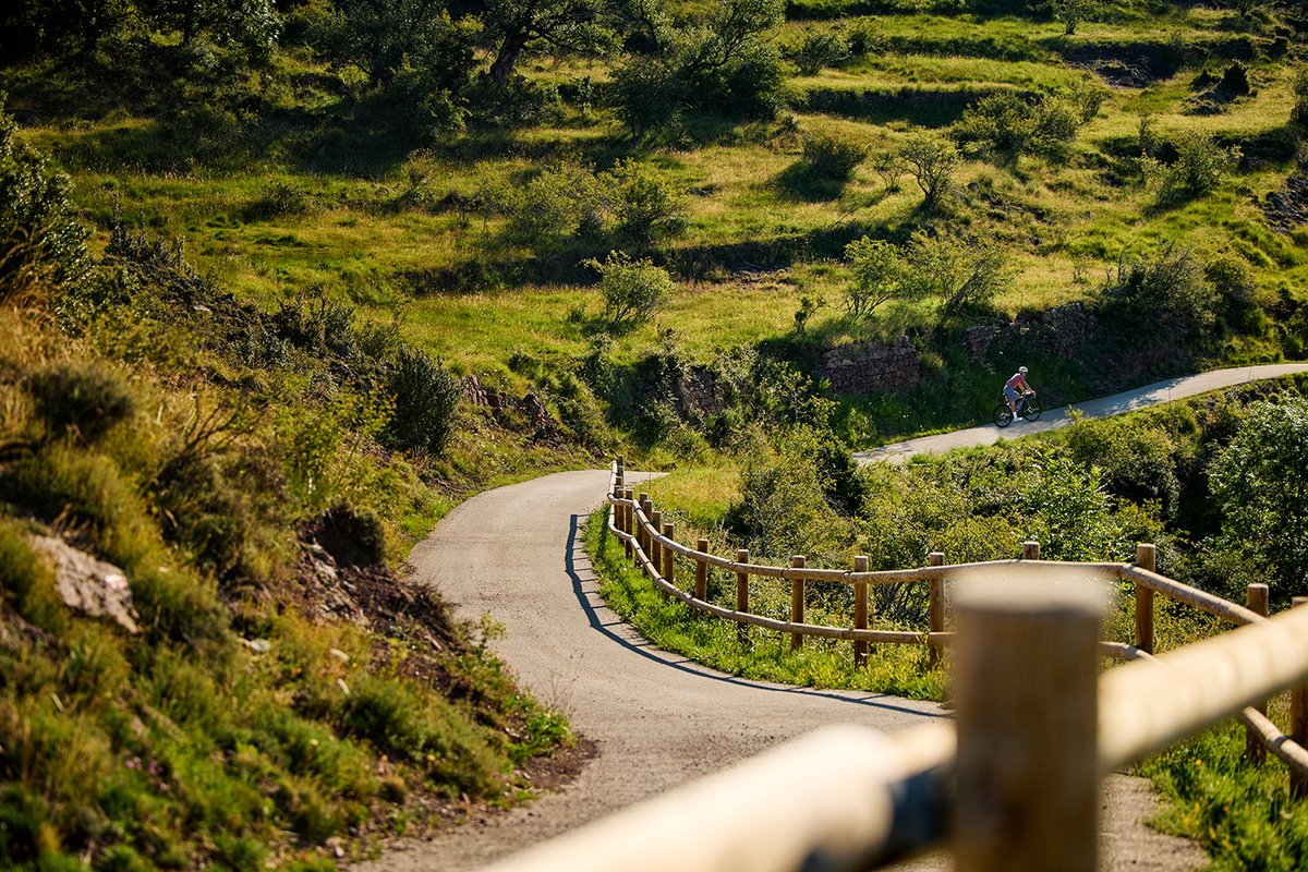 Cyclist riding winding country road through green hillside landscape