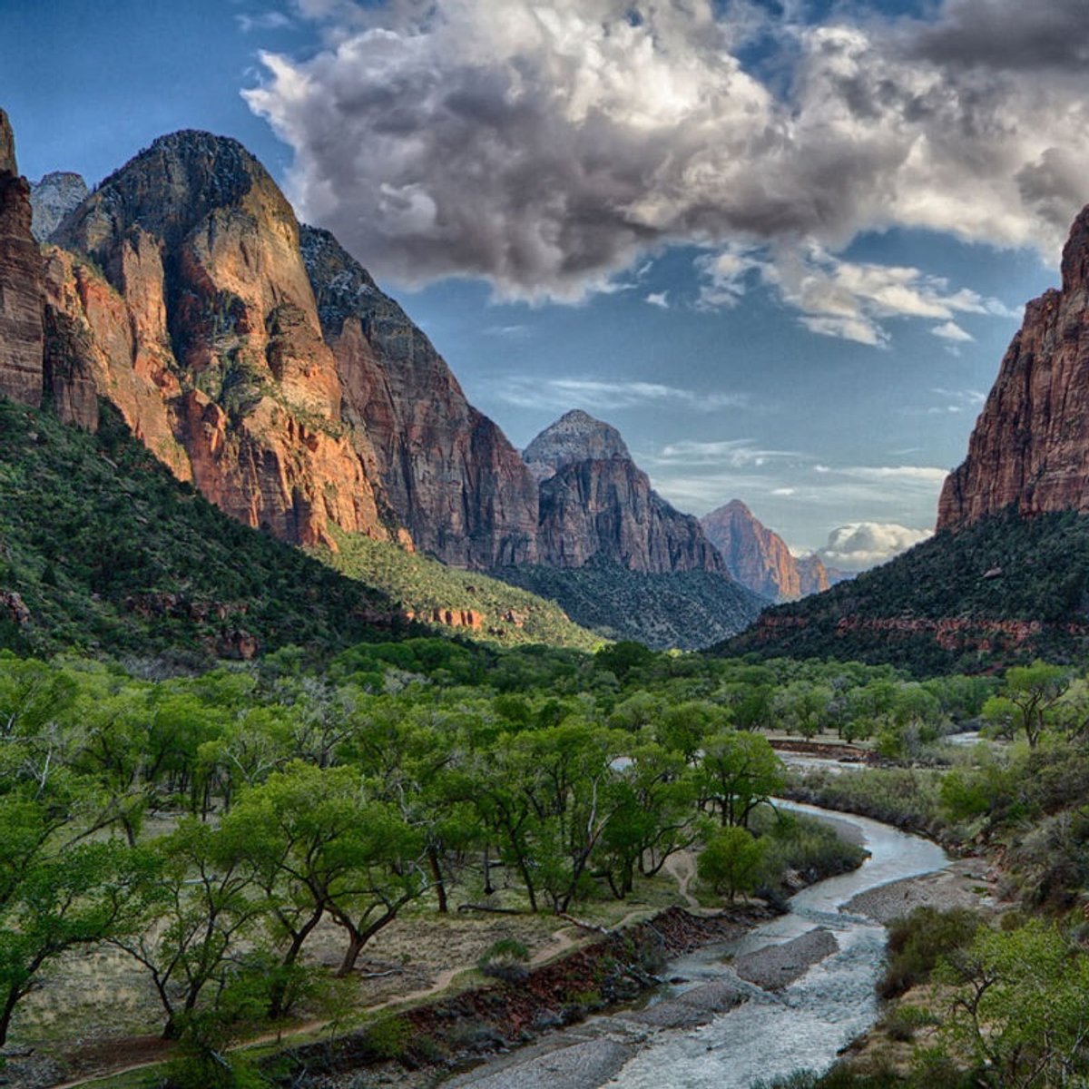 The Virgin River winding through Zion Canyon's main corridor flanked by towering red rock walls.