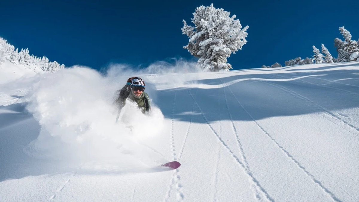 A skier shreds down a slope, a clear blue sky behind them.