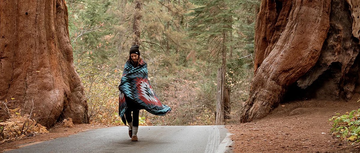 Person wrapped in a blanket walking down a road between two giant trees.