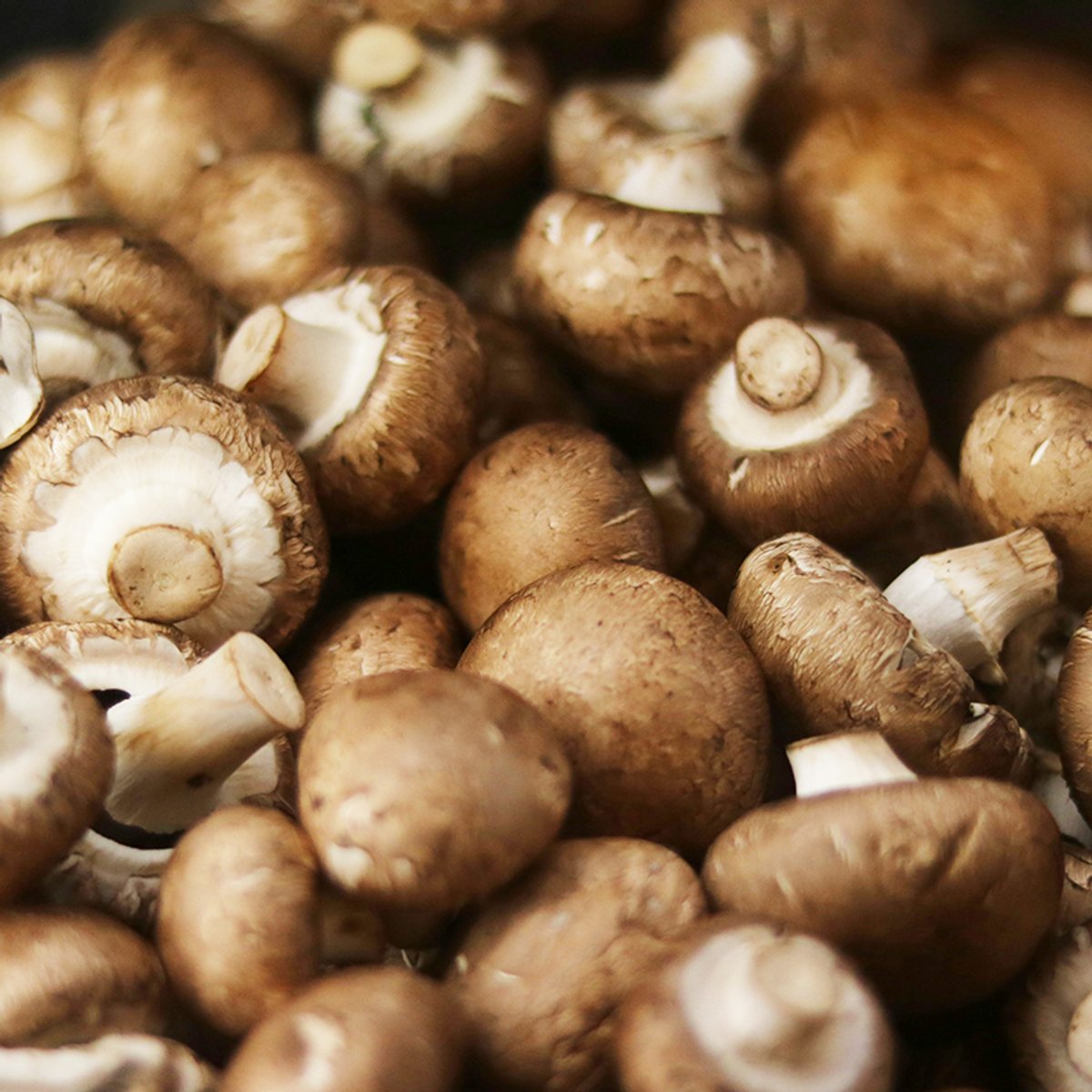 A basket of mushrooms