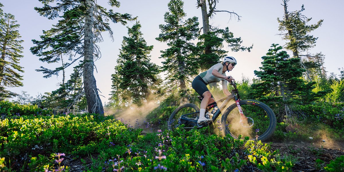 Mountain biker descends a dirt trail surrounded by trees and wildflowers with light shining from behind.