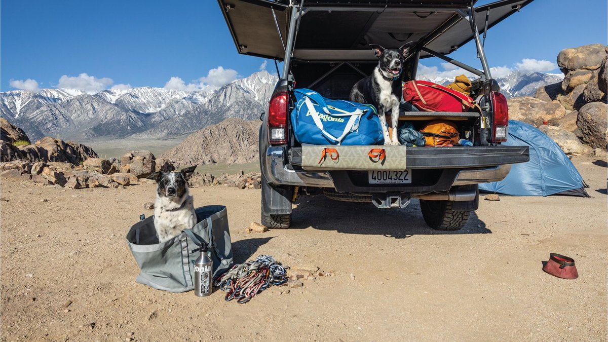 A car sits on a dusty road with mountains in the background. The trunk is open, and a dog sits inside of it next to a Patagonia Black Hole bag.