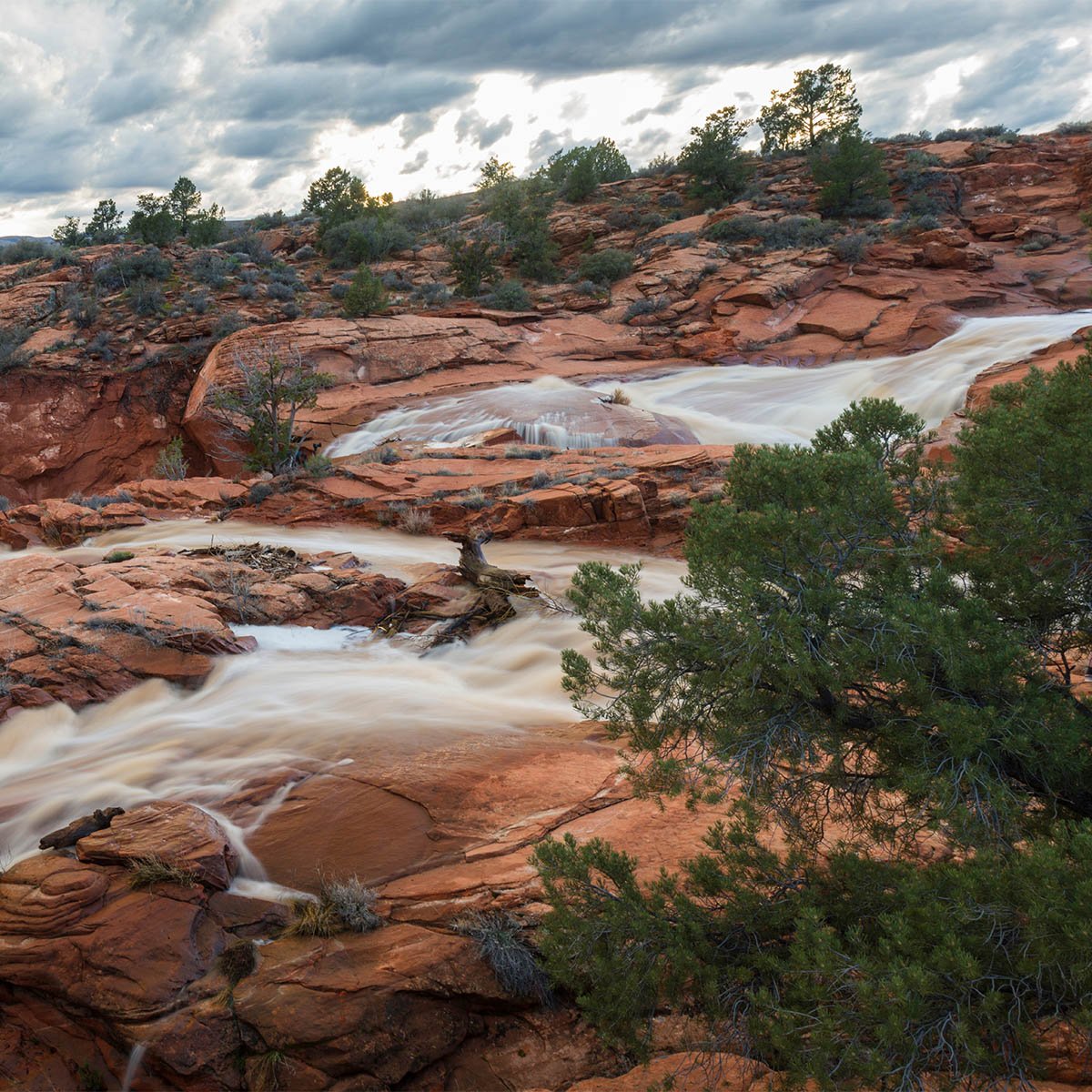 Silty floodwater rushing over tiered red sandstone slickrock at Gunlock Falls, with pinyon pines along the banks and storm clouds overhead.