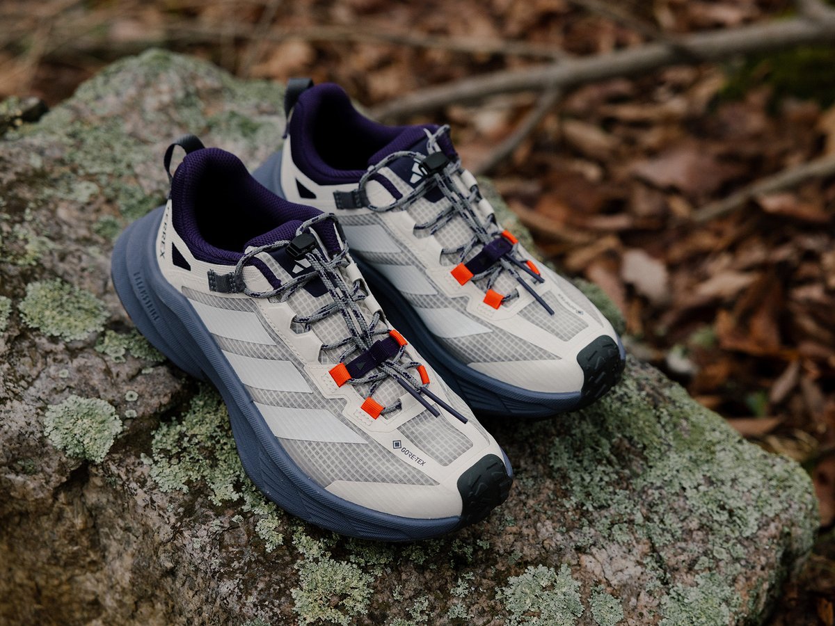 A pair of shoes on a rock
