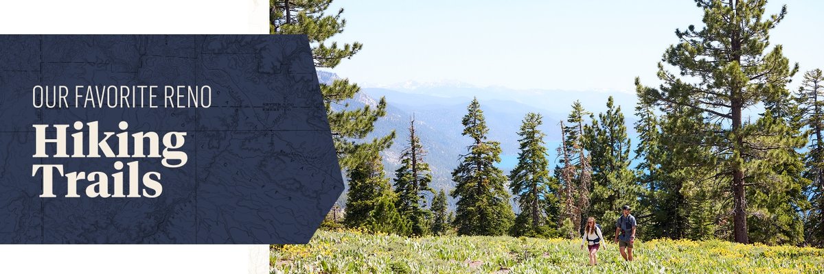 A wide banner shows the text "OUR FAVORITE RENO Hiking Trails" on a dark blue panel to the left. On the right, a man and a woman are walking along a grassy trail bordered by wildflowers, surrounded by tall pine trees under a clear sky, with distant mountains visible in the background.