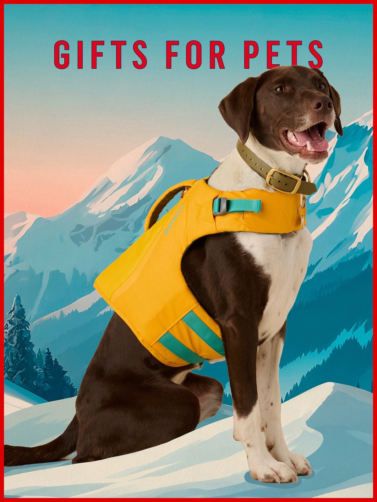 An adorable short-haired pointer pup wearing a green collar and yellow life jacket. Behind her are snowy mountains and the words Gifts For Pets.