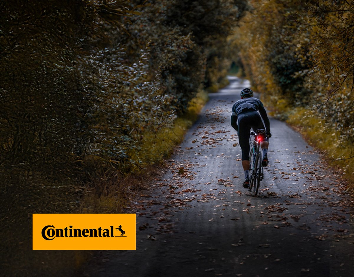 Cyclist riding down straight road surrounded by fall leaves.