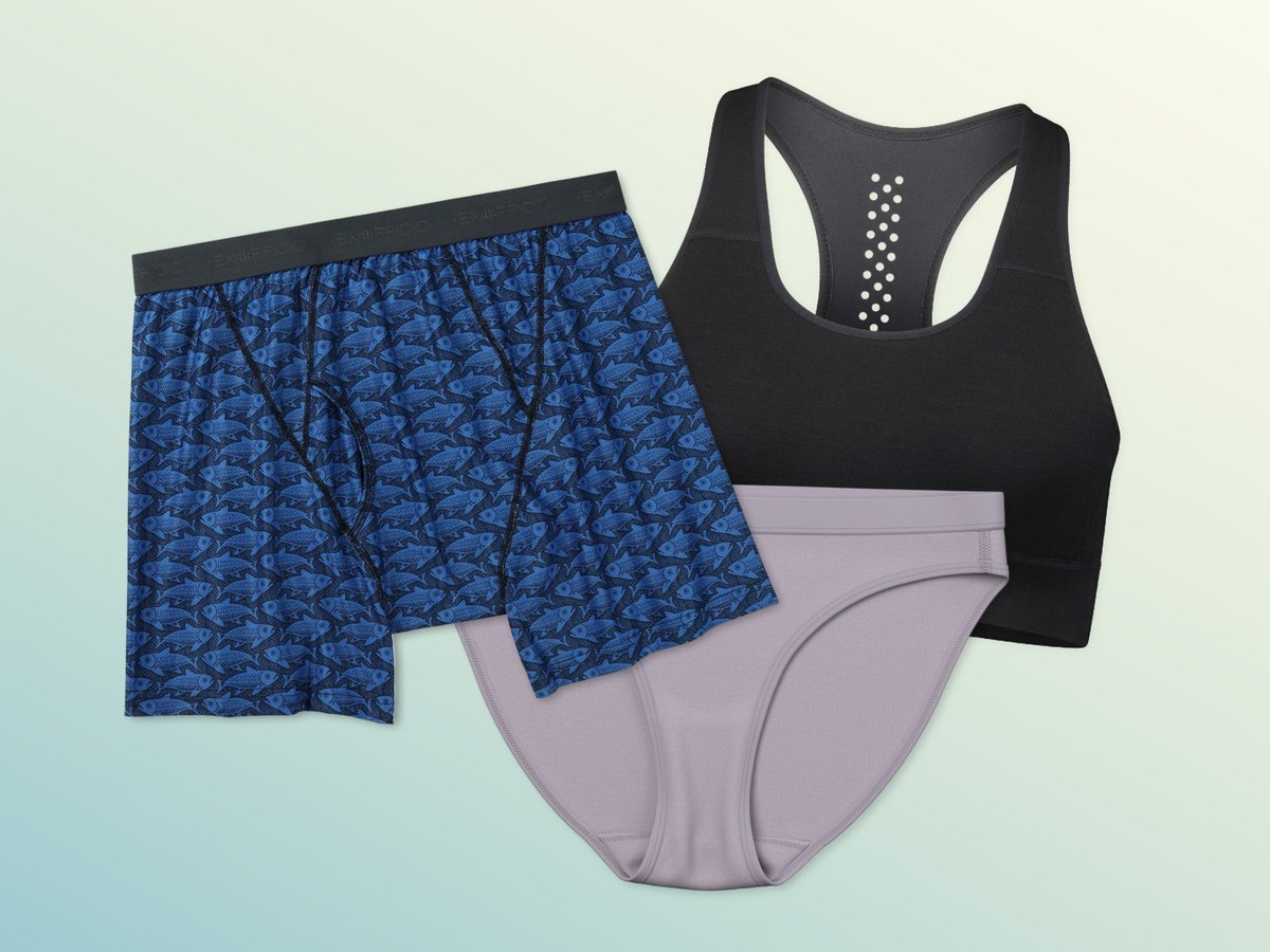  A flat lay arrangement of athletic underwear on a light gradient background. The collection features a pair of blue men's boxer briefs with a repeating fish pattern, a solid black women's sports bra with a perforated back detail, and a pair of light purple women's bikini-style underwear.