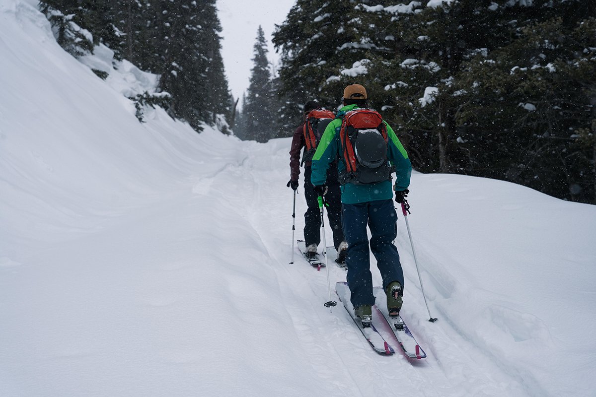 Two skiers skinning up a skintrack single file on snowy hillside with large trees.