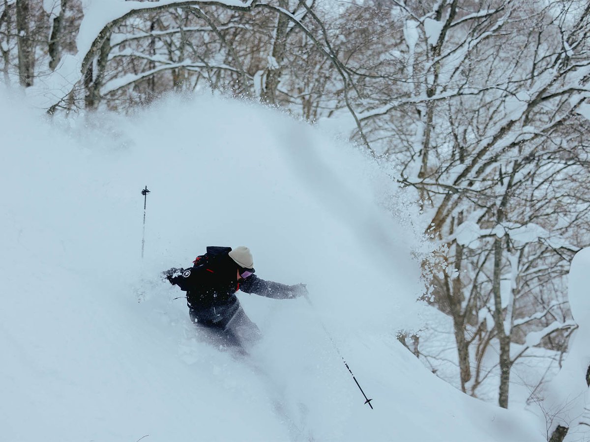 Skier riding in powder through trees.