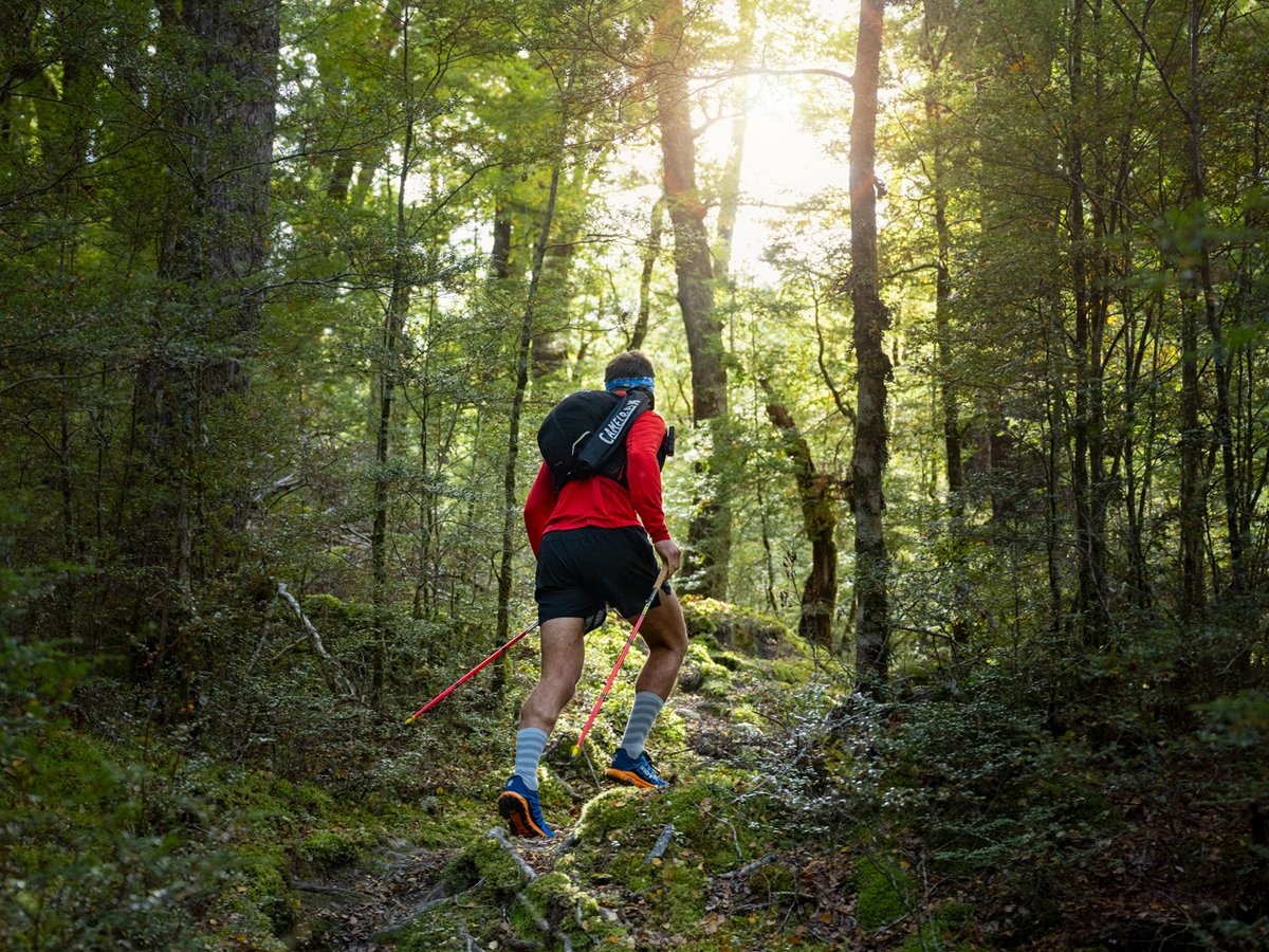 A man with hiking poles walks through a sun-dappled forest.