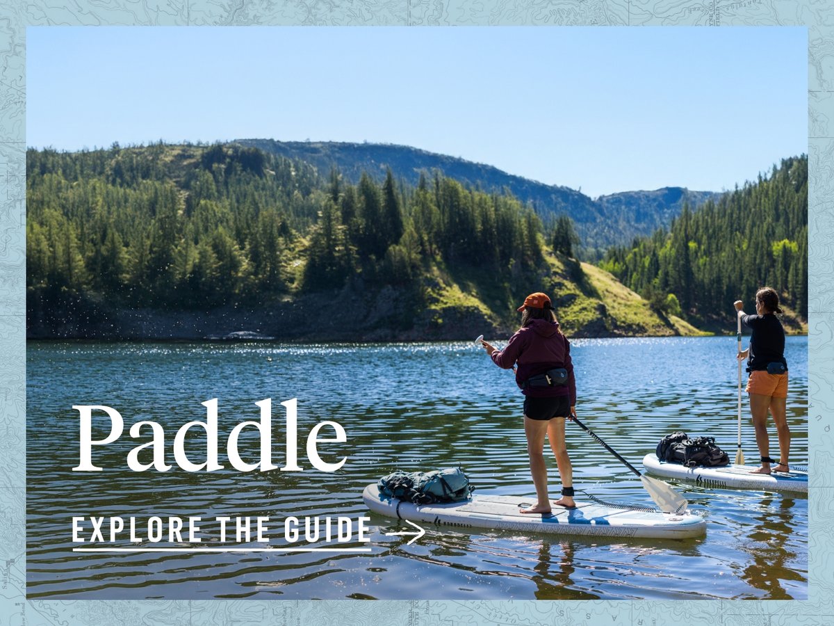 Paddle