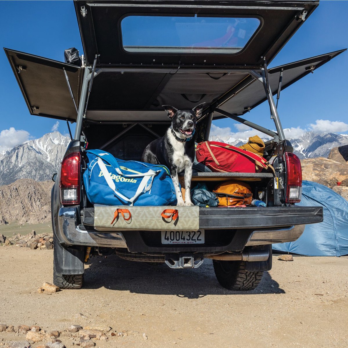 Adventure dog sitting in open truck bed loaded with Patagonia camping gear and backpacks in mountain landscape.